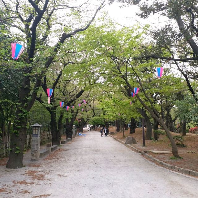 賞櫻名所 飛鳥山公園🌸