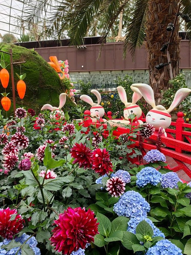 Dahlia Dreams @GardensByTheBay