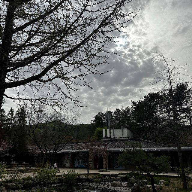 春川市-南怡島