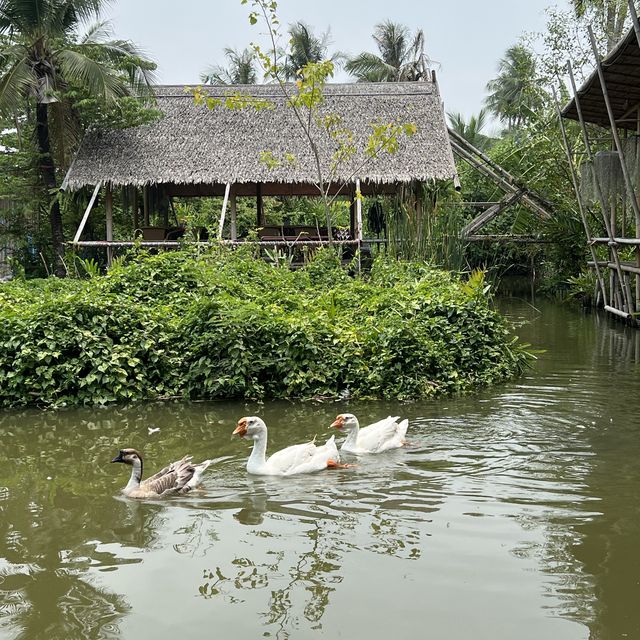 ดิ โอโซน คาเฟ่คลายร้อน ที่บางกระเจ้า