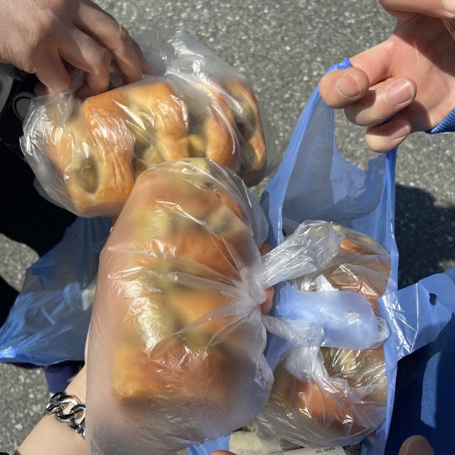 대전 근교 벚꽃 축제 계룡산국립공원