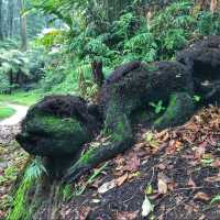 Experience Mt. Tangkuban Perahu close up