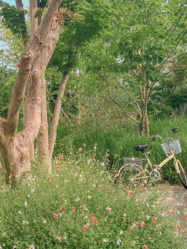 여름의 싱그러움을 만날 수 있는 곳☀️