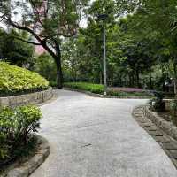 Montanha Russa Garden 