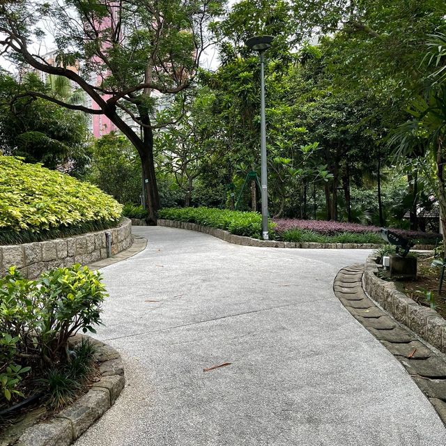 Montanha Russa Garden 