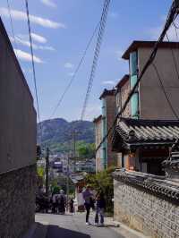 Never met a hanok I didn’t like 💓