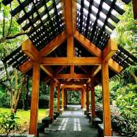 深圳灣公園•紅樹林區