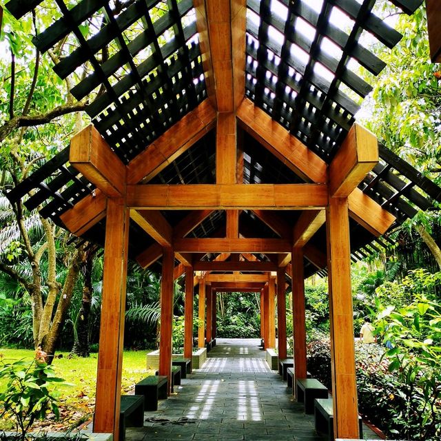 深圳灣公園•紅樹林區