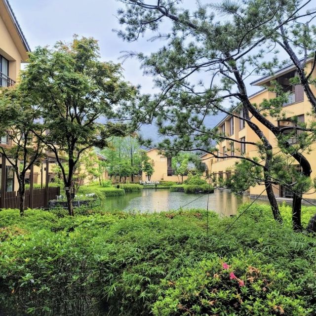 台灣宜蘭 度假溫泉酒店