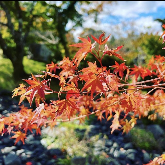 円山公園