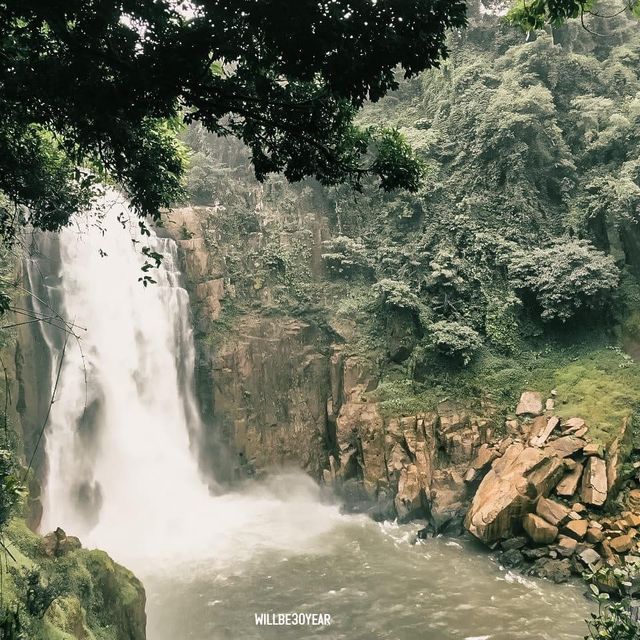 ขับรถรับลมเย็นในฤดูฝนที่ อุทยานแห่งชาติเขาใหญ่ 