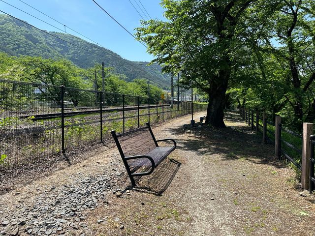 山梨・勝沼。『甚六桜』と『旧勝沼駅 ホーム跡』