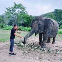 มุมสบาย ... เกาะช้าง ที่มีช้าง 