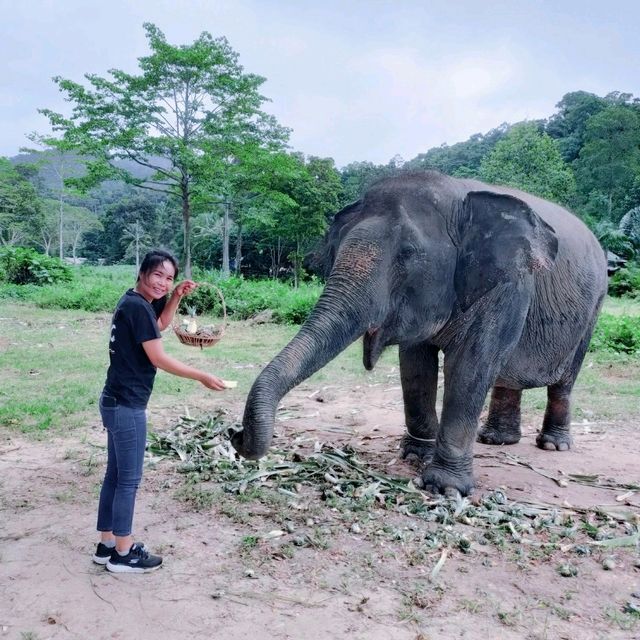 มุมสบาย ... เกาะช้าง ที่มีช้าง 