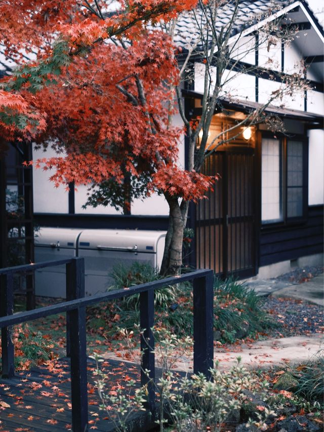 日本 | 由布院 住進一家有溫度的貓貓民宿🐈