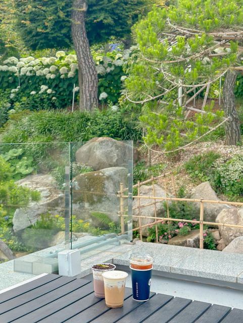 오늘자 실시간 청주 수국 맛집🌸🩵