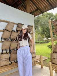 Araksa Tea Garden | Chiang Mai🌿