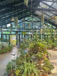 파주 가볼만한 곳, 벽초지수목원🌿💚