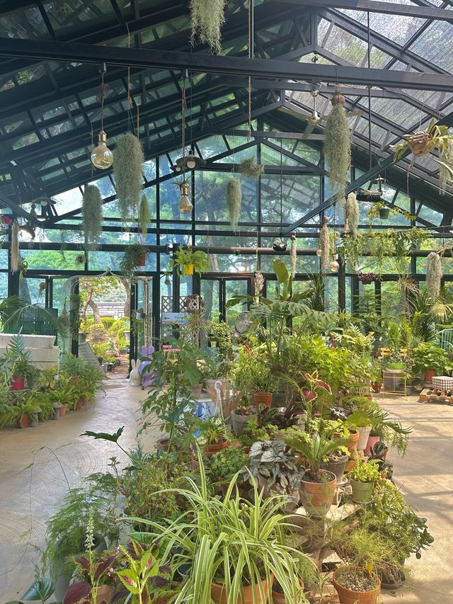 파주 가볼만한 곳, 벽초지수목원🌿💚