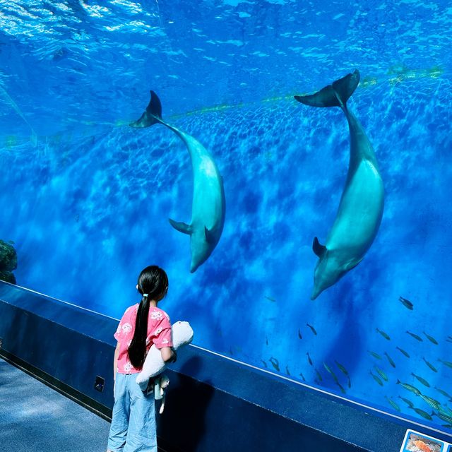 横濱八景島海島樂園