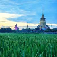 วัดโพรงอากาศ​
