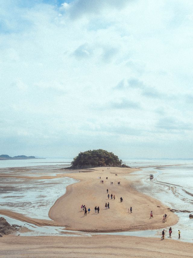 🏖️휴양지같은 바닷가에서 모래놀이를 할 수 있는 카페“뻘다방”