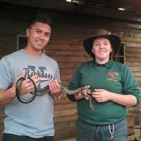 Animal fun at Caversham Wildlife Park