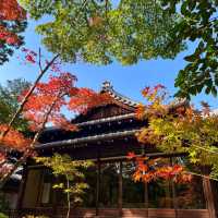 京都南禪寺🙏🏻禪修之旅中的和諧花園 🍵🌸