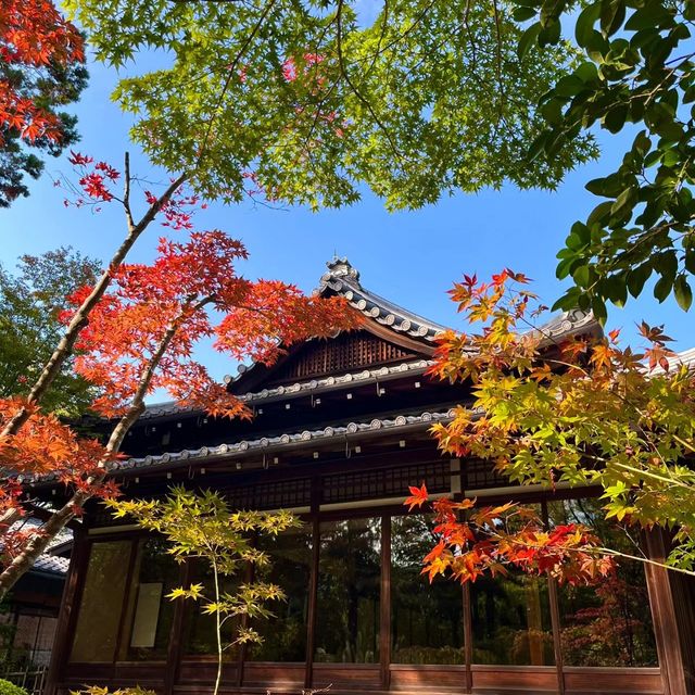 京都南禪寺🙏🏻禪修之旅中的和諧花園 🍵🌸