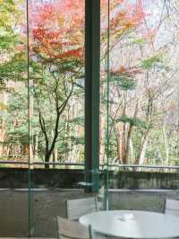 【箱根】温泉と共にアートを楽しめるポーラ美術館