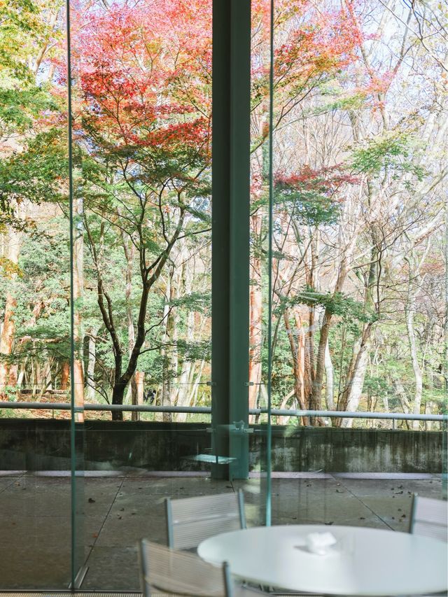 【箱根】温泉と共にアートを楽しめるポーラ美術館