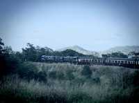 🚂開恩茲庫蘭達觀光火車：百年列車，穿梭雨林🚂