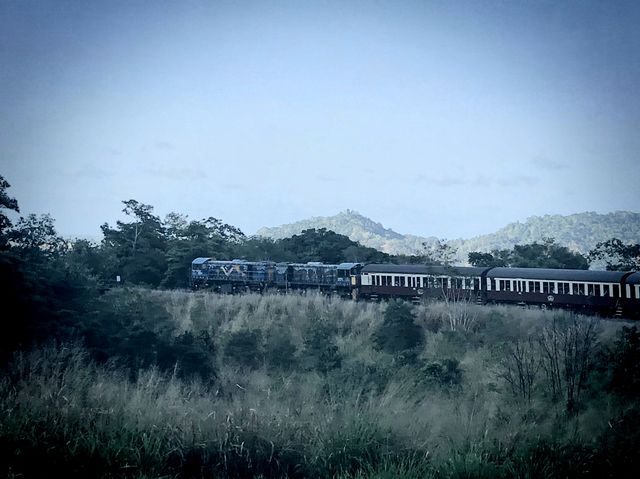 🚂開恩茲庫蘭達觀光火車：百年列車，穿梭雨林🚂
