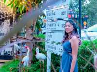 เที่ยวเขาใหญ่ พักกันที่ Nay Joe Resort Khao Yai 