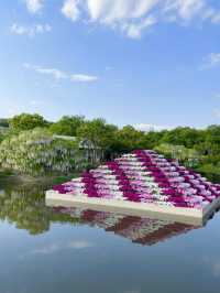 【栃木県/あしかがフラワーパーク】2023年行ってよかった！園内を彩る藤の花