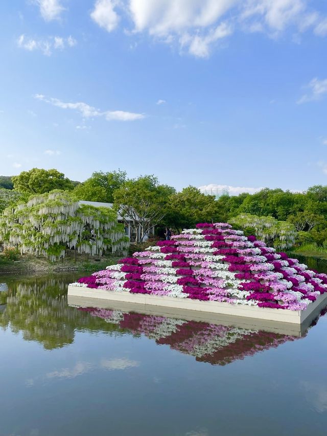 【栃木県/あしかがフラワーパーク】2023年行ってよかった！園内を彩る藤の花
