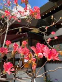 【東京都/東京大神宮】2023年行ってよかった！東京都の神社③