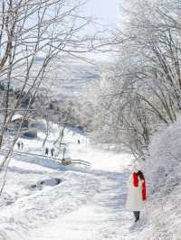 파란하늘 새하얀 눈의 대관령 양떼목장 🐑🐑❄️