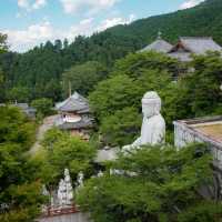 【奈良の新緑もとても美しい🌿】奈良・新緑の絶景一日プランをご紹介！🚗