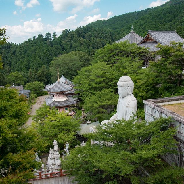 【奈良の新緑もとても美しい🌿】奈良・新緑の絶景一日プランをご紹介！🚗