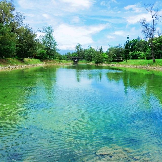 絕美密境~台東森林公園琵琶湖