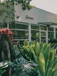 Fernpresso at Lake คาเฟ่บรรยากาศดี เชียงใหม่