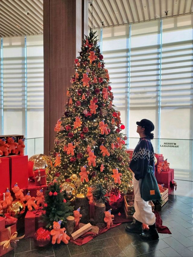 크리스마스 경주 트리맛집으로 핫했던 라한셀렉트경주🎄