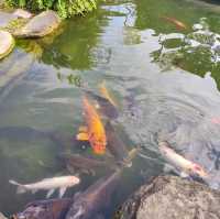 「臺南大智山玄空法寺」：禪意庭園，網路票選第一，適合臺南旅遊