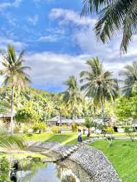 Palau Royal Resort - a home away from home