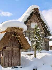 A dreamy place to be ❄️⛄️