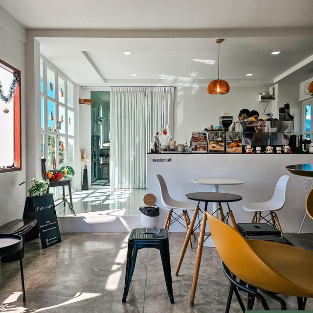  Purrcafebkk「แจ้งวัฒนะ 14 」 