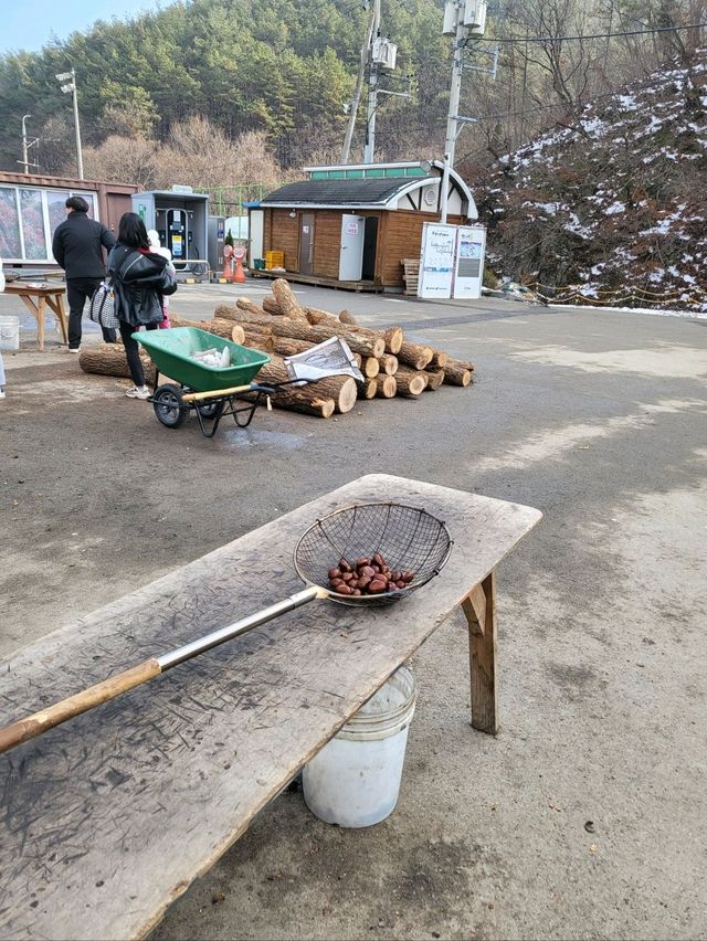 겨울여행지로 여기 안가면 섭섭해❄️