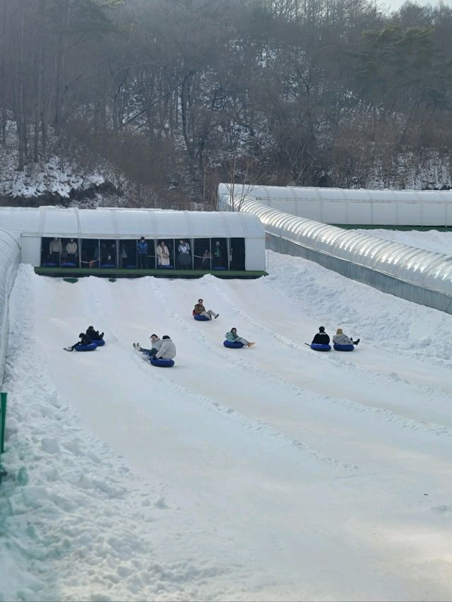 어른이도 신나는 하루종일 무제한 썰매타기❄️