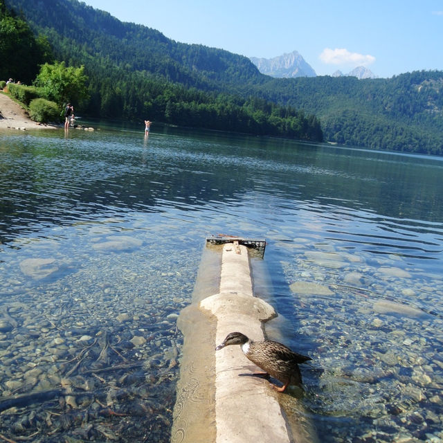 ปราสาท Hohenschiwangau & ทะเลสาบ Alpseelake